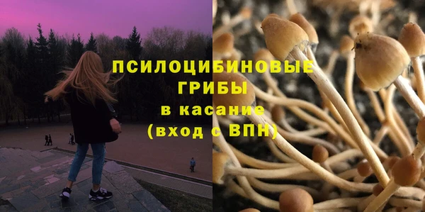 тгк Каменск-Шахтинский