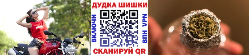 Купить где  Краснозаводск  Канабис OG Kush 